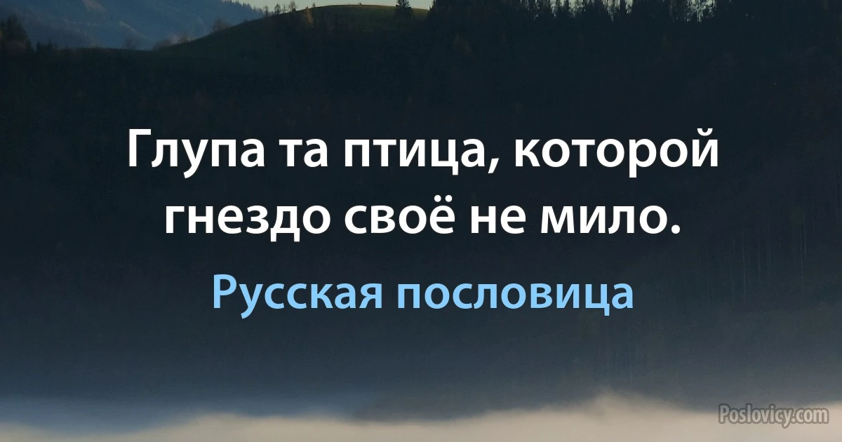 Глупа та птица, которой гнездо своё не мило. (Русская пословица)