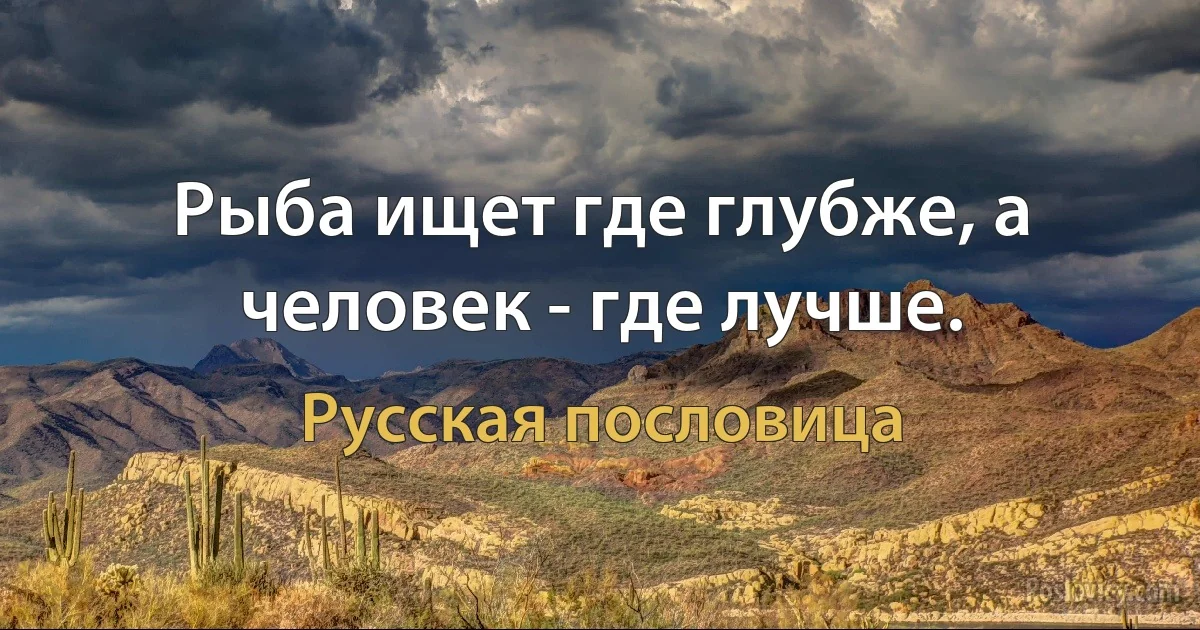 Рыба ищет где глубже, а человек - где лучше. (Русская пословица)