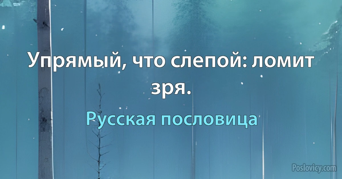 Упрямый, что слепой: ломит зря. (Русская пословица)