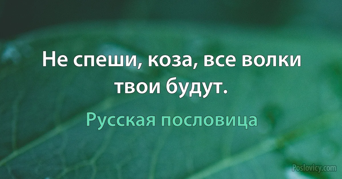 Не спеши, коза, все волки твои будут. (Русская пословица)