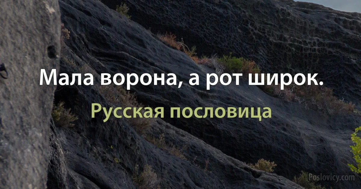 Мала ворона, а рот широк. (Русская пословица)