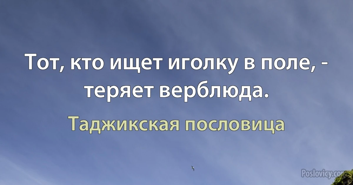 Тот, кто ищет иголку в поле, - теряет верблюда. (Таджикская пословица)