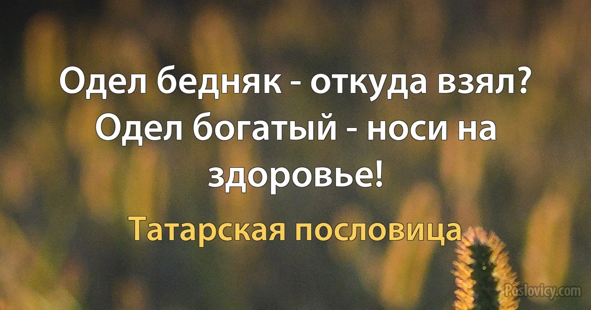 Одел бедняк - откуда взял? Одел богатый - носи на здоровье! (Татарская пословица)