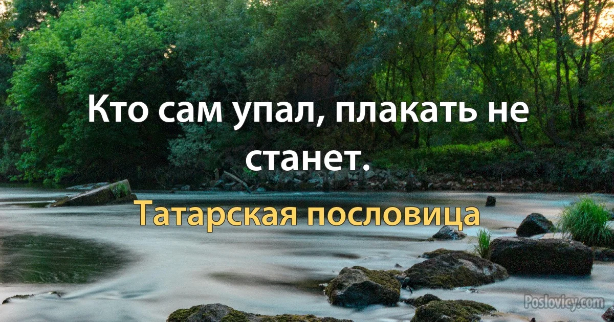 Кто сам упал, плакать не станет. (Татарская пословица)