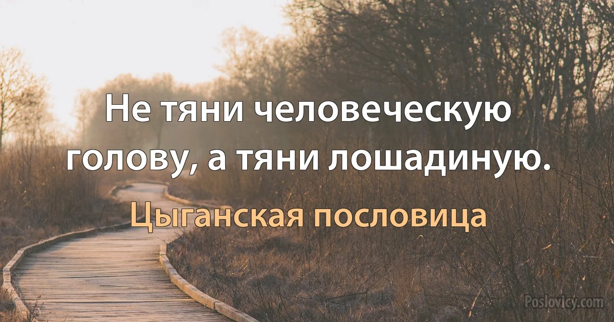 Не тяни человеческую голову, а тяни лошадиную. (Цыганская пословица)