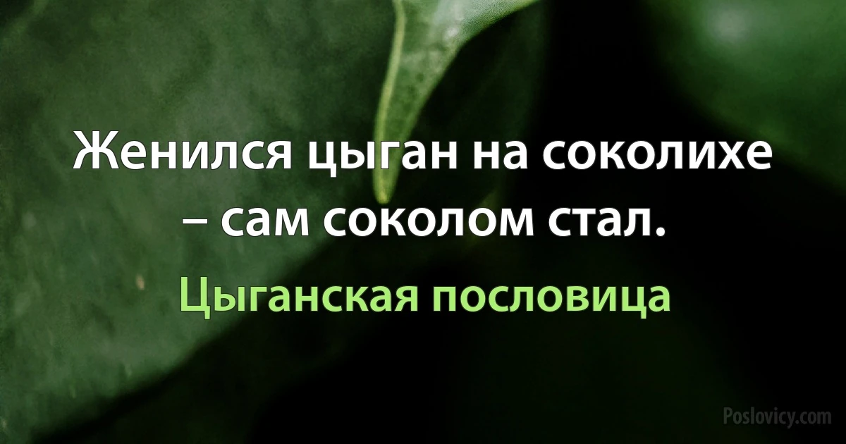 Женился цыган на соколихе – сам соколом стал. (Цыганская пословица)