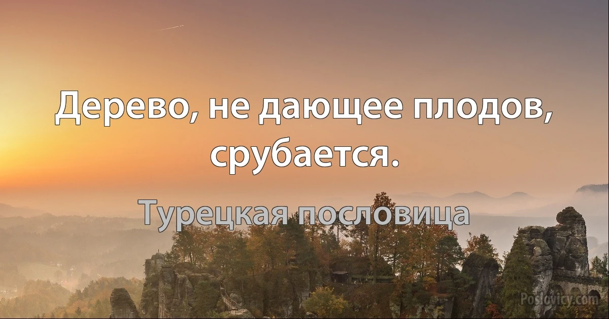 Дерево, не дающее плодов, срубается. (Турецкая пословица)