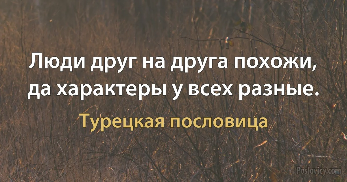 Люди друг на друга похожи, да характеры у всех разные. (Турецкая пословица)