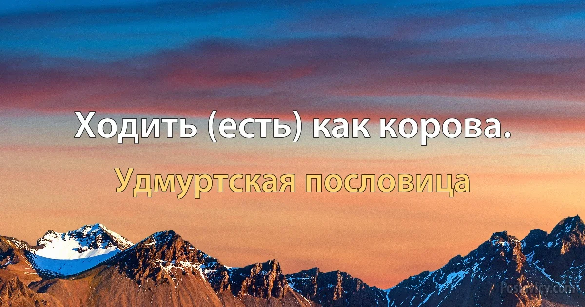 Ходить (есть) как корова. (Удмуртская пословица)