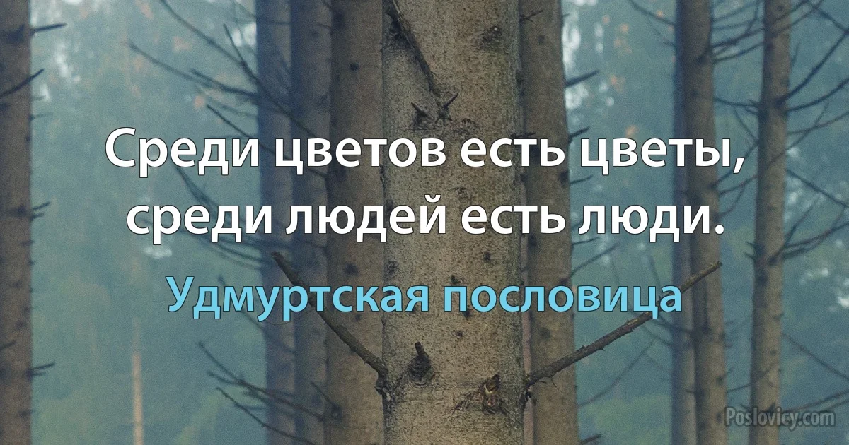 Среди цветов есть цветы, среди людей есть люди. (Удмуртская пословица)