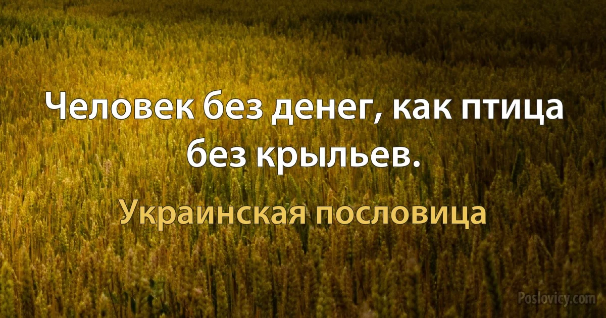 Человек без денег, как птица без крыльев. (Украинская пословица)