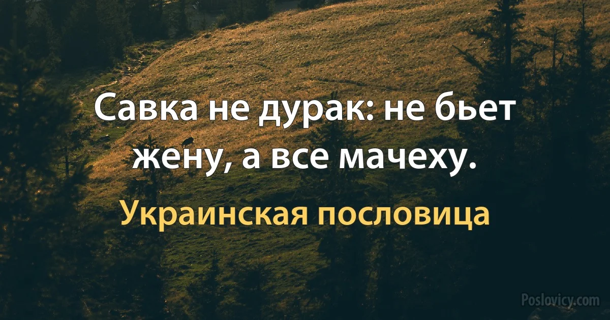 Савка не дурак: не бьет жену, а все мачеху. (Украинская пословица)