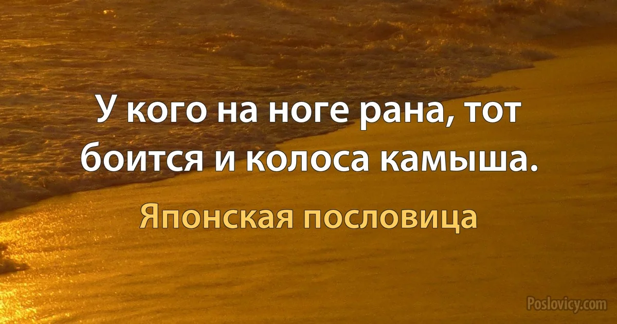 У кого на ноге рана, тот боится и колоса камыша. (Японская пословица)