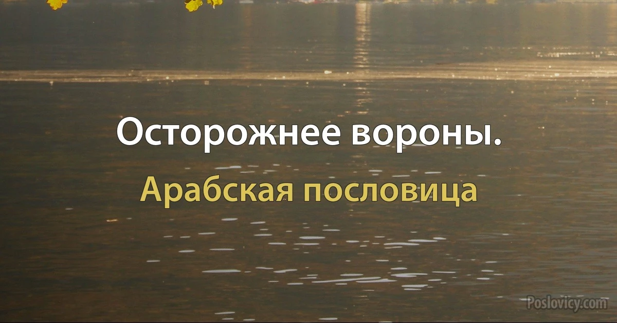 Осторожнее вороны. (Арабская пословица)