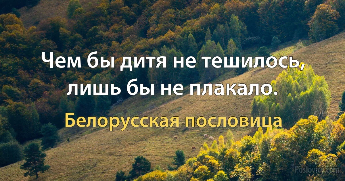 Чем бы дитя не тешилось, лишь бы не плакало. (Белорусская пословица)