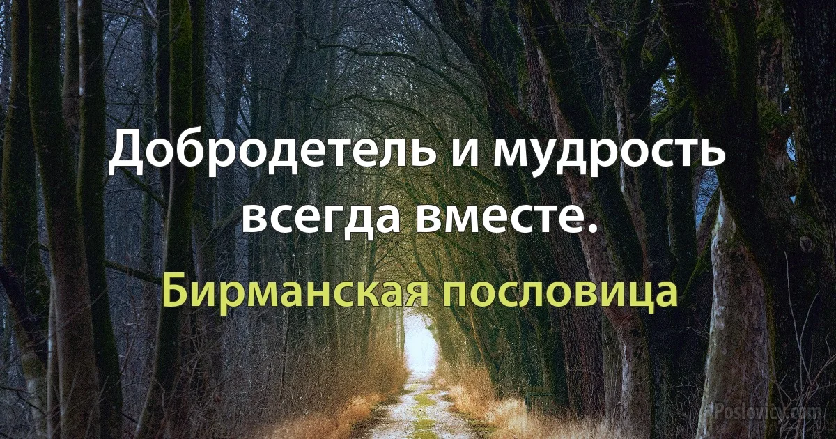 Добродетель и мудрость всегда вместе. (Бирманская пословица)