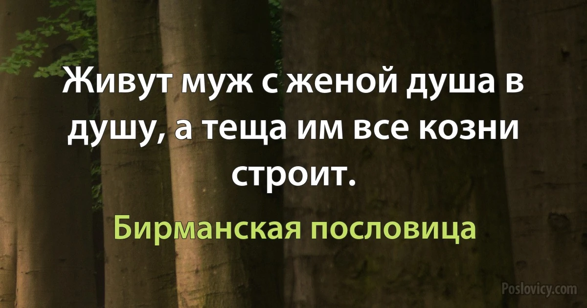 Живут муж с женой душа в душу, а теща им все козни строит. (Бирманская пословица)