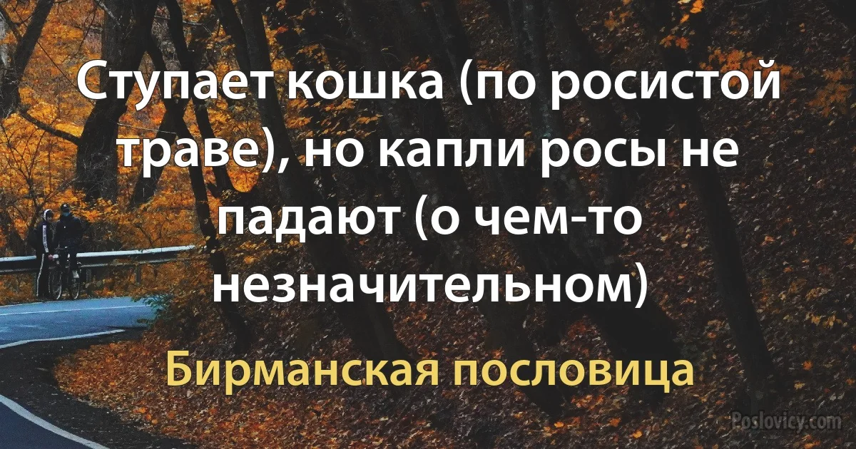 Ступает кошка (по росистой траве), но капли росы не падают (о чем-то незначительном) (Бирманская пословица)