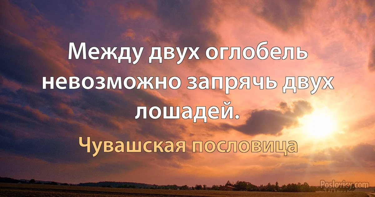 Между двух оглобель невозможно запрячь двух лошадей. (Чувашская пословица)