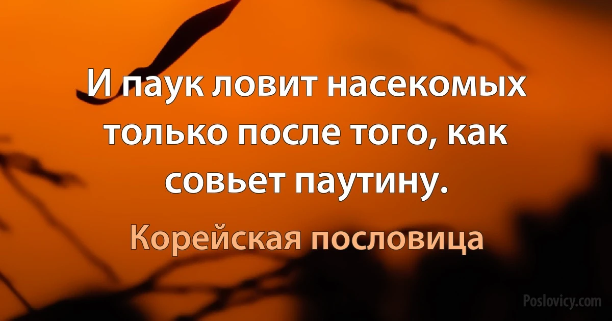 И паук ловит насекомых только после того, как совьет паутину. (Корейская пословица)