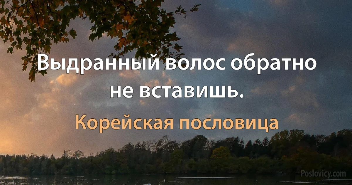 Выдранный волос обратно не вставишь. (Корейская пословица)