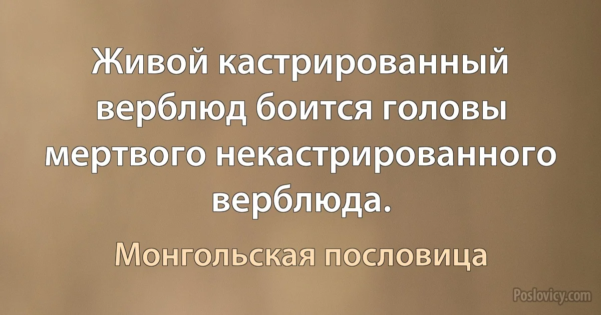 Живой кастрированный верблюд боится головы мертвого некастрированного верблюда. (Монгольская пословица)