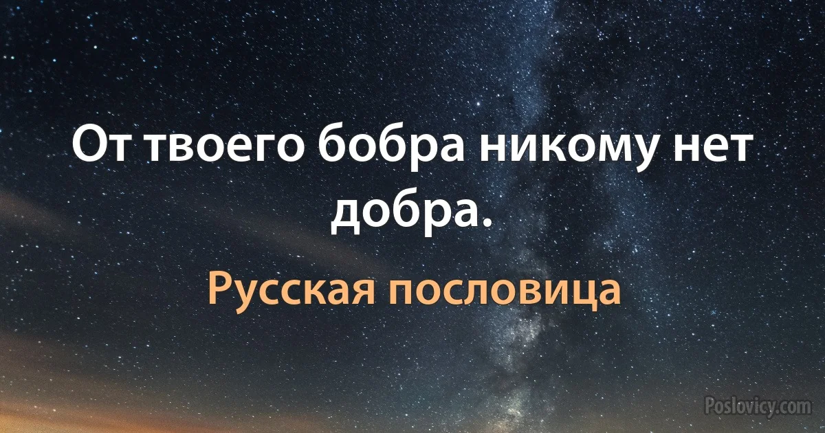 От твоего бобра никому нет добра. (Русская пословица)