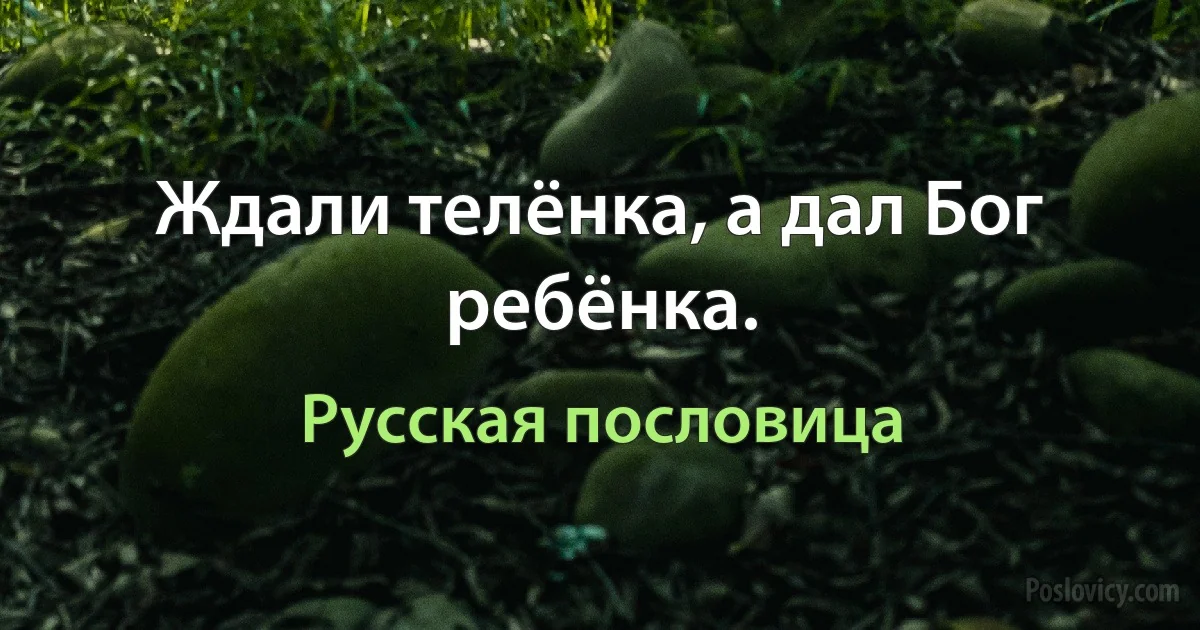 Ждали телёнка, а дал Бог ребёнка. (Русская пословица)