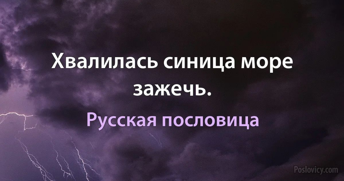 Хвалилась синица море зажечь. (Русская пословица)