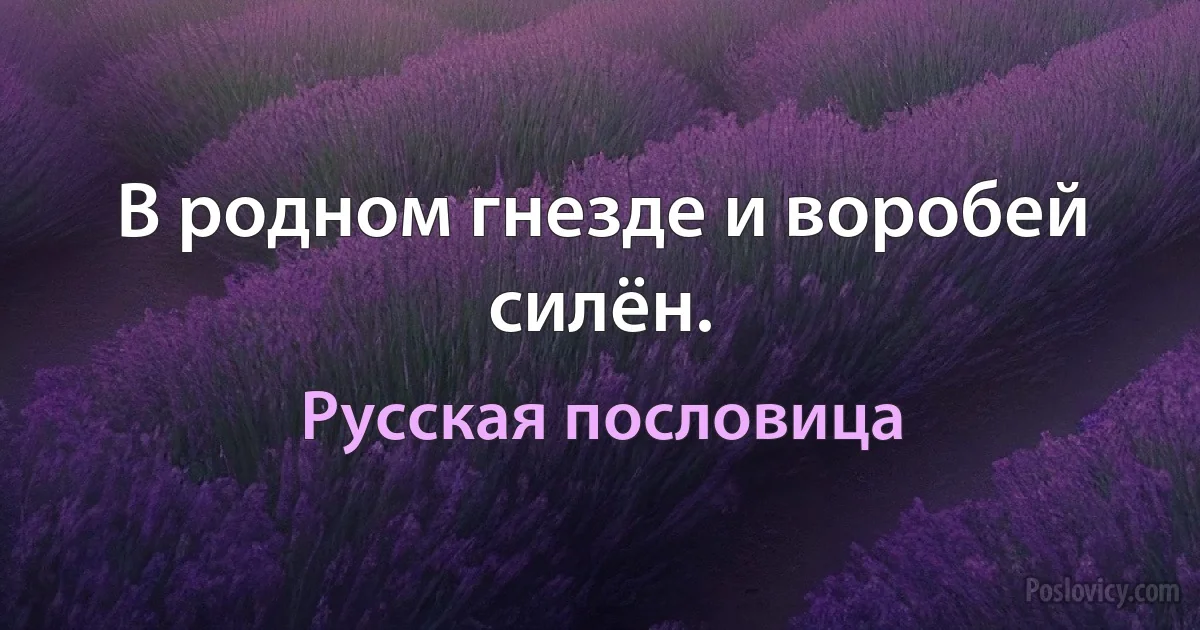 В родном гнезде и воробей силён. (Русская пословица)