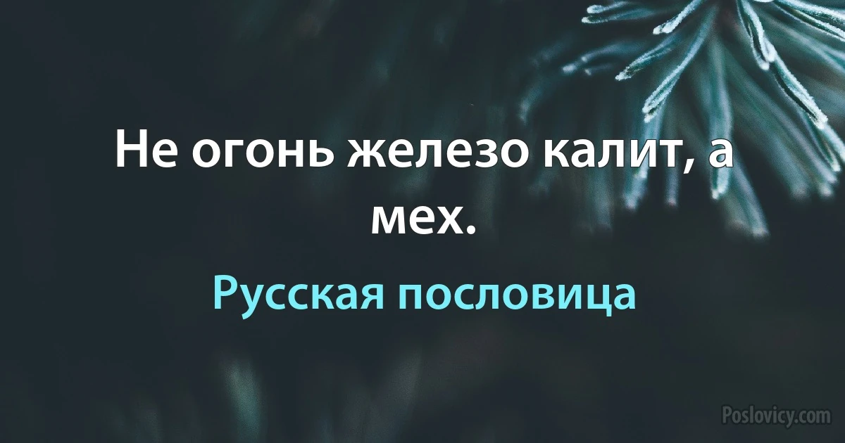 Не огонь железо калит, а мех. (Русская пословица)