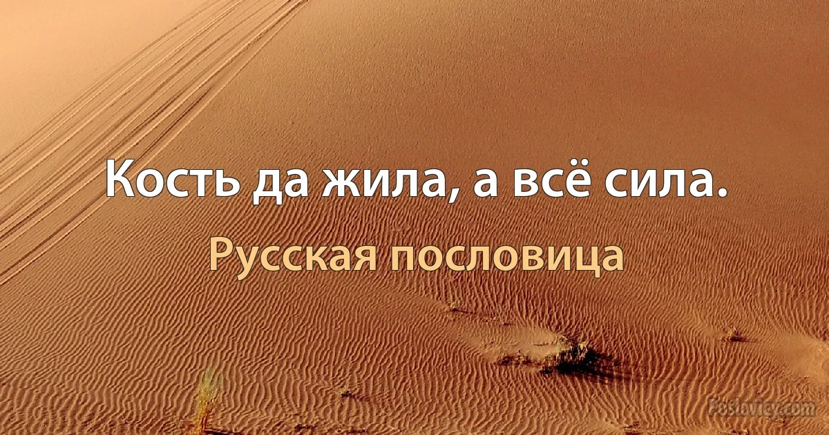 Кость да жила, а всё сила. (Русская пословица)