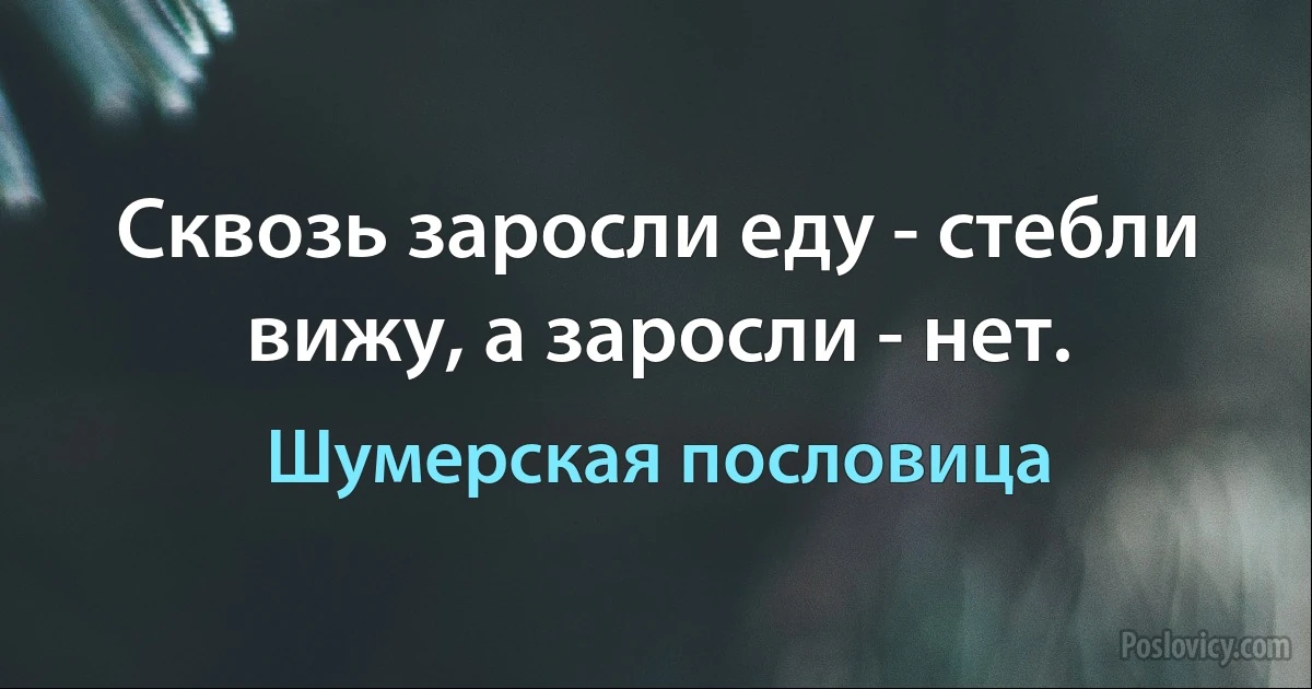 Сквозь заросли еду - стебли вижу, а заросли - нет. (Шумерская пословица)