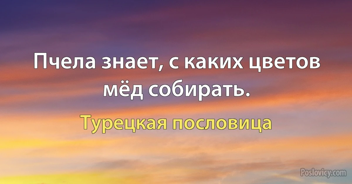 Пчела знает, с каких цветов мёд собирать. (Турецкая пословица)