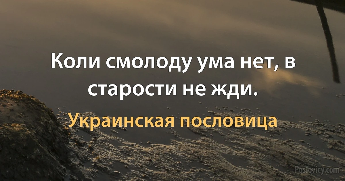 Коли смолоду ума нет, в старости не жди. (Украинская пословица)