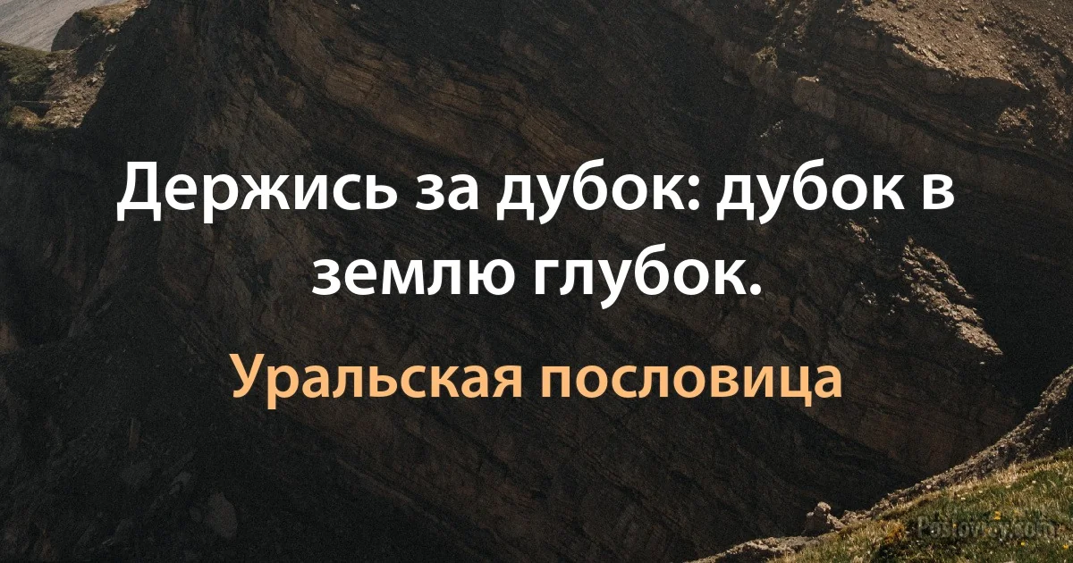 Держись за дубок: дубок в землю глубок. (Уральская пословица)