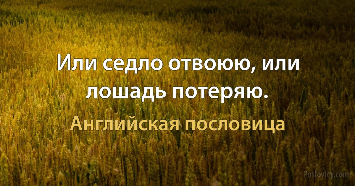 Или седло отвоюю, или лошадь потеряю. (Английская пословица)