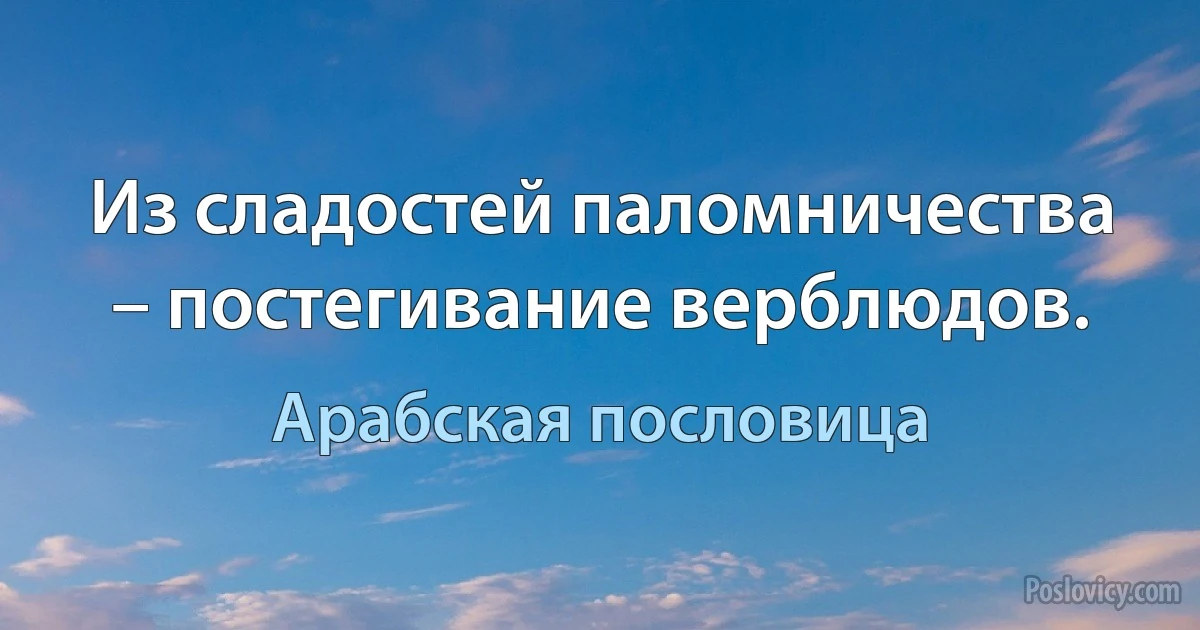 Из сладостей паломничества – постегивание верблюдов. (Арабская пословица)