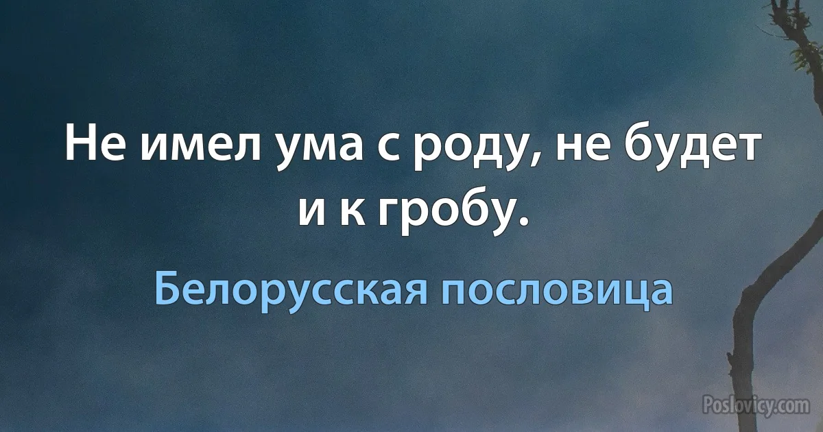 Не имел ума с роду, не будет и к гробу. (Белорусская пословица)