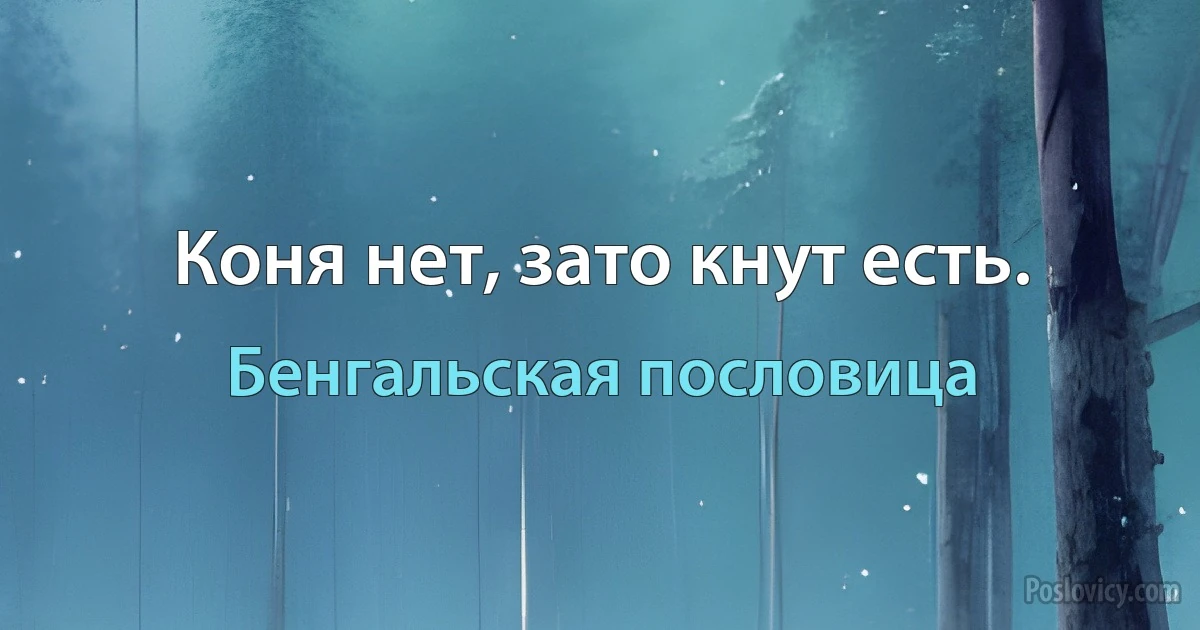 Коня нет, зато кнут есть. (Бенгальская пословица)