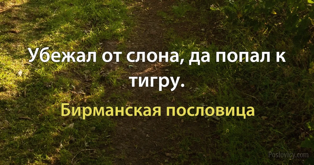 Убежал от слона, да попал к тигру. (Бирманская пословица)