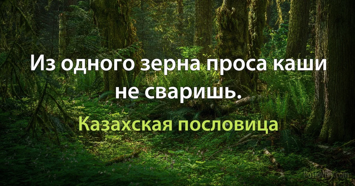 Из одного зерна проса каши не сваришь. (Казахская пословица)