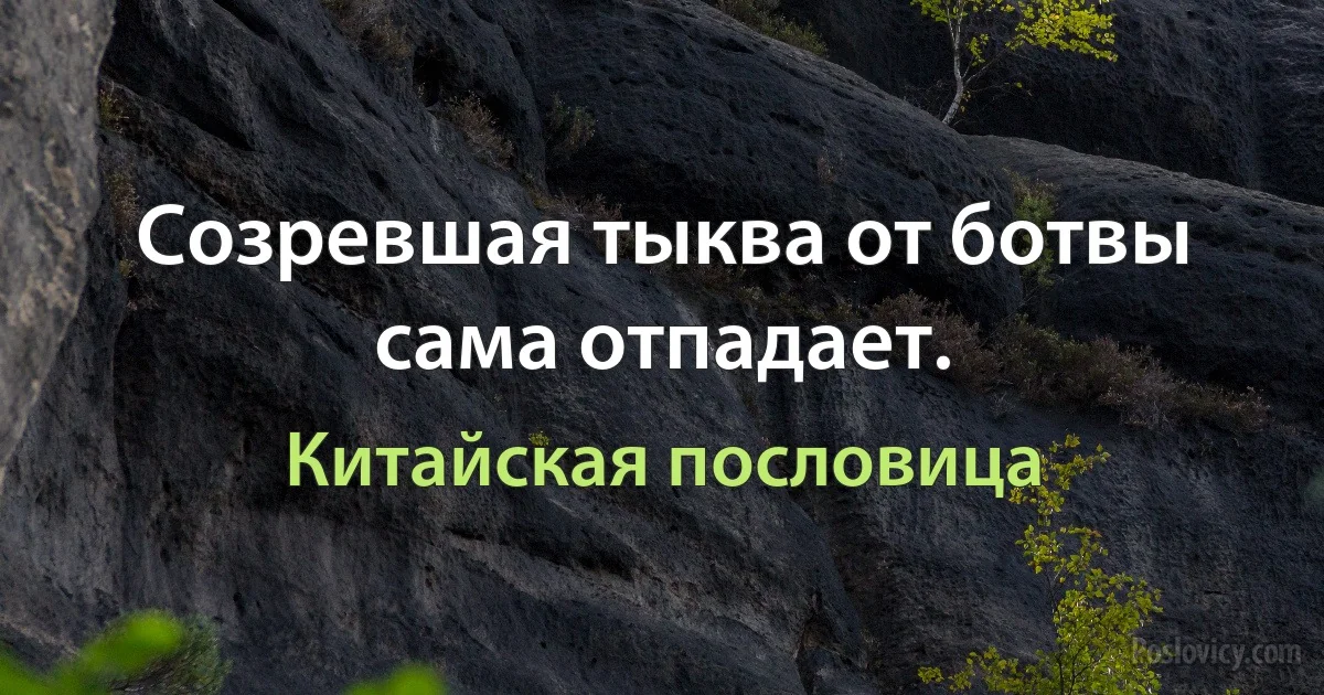 Созревшая тыква от ботвы сама отпадает. (Китайская пословица)