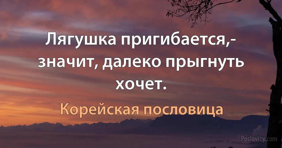 Лягушка пригибается,- значит, далеко прыгнуть хочет. (Корейская пословица)