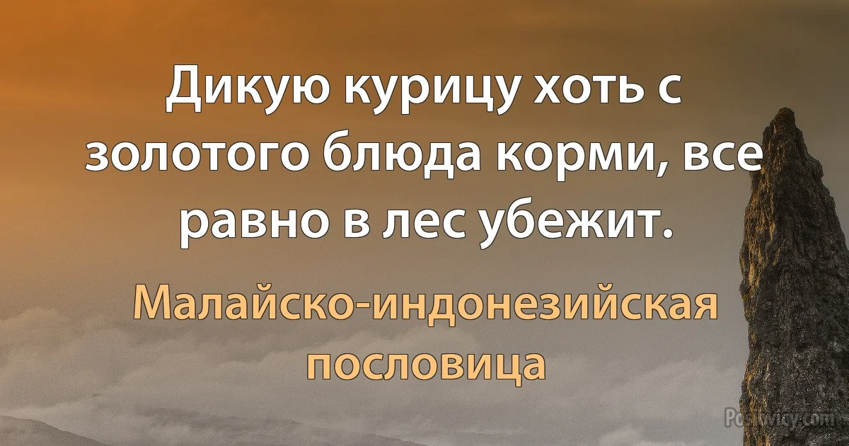 Дикую курицу хоть с золотого блюда корми, все равно в лес убежит. (Малайско-индонезийская пословица)