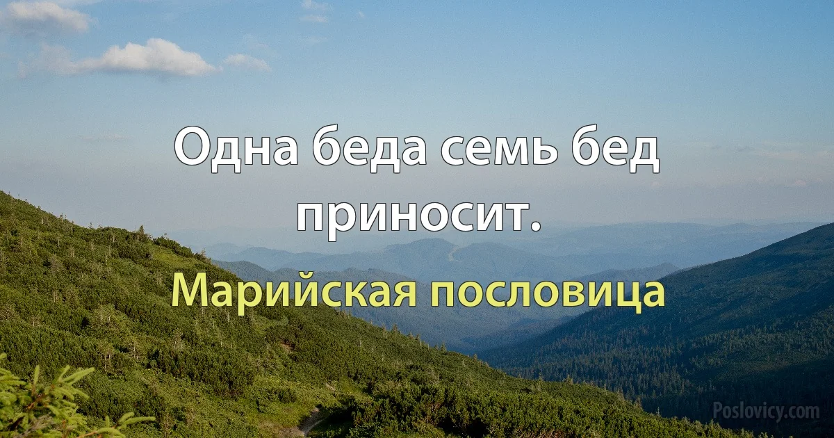 Одна беда семь бед приносит. (Марийская пословица)