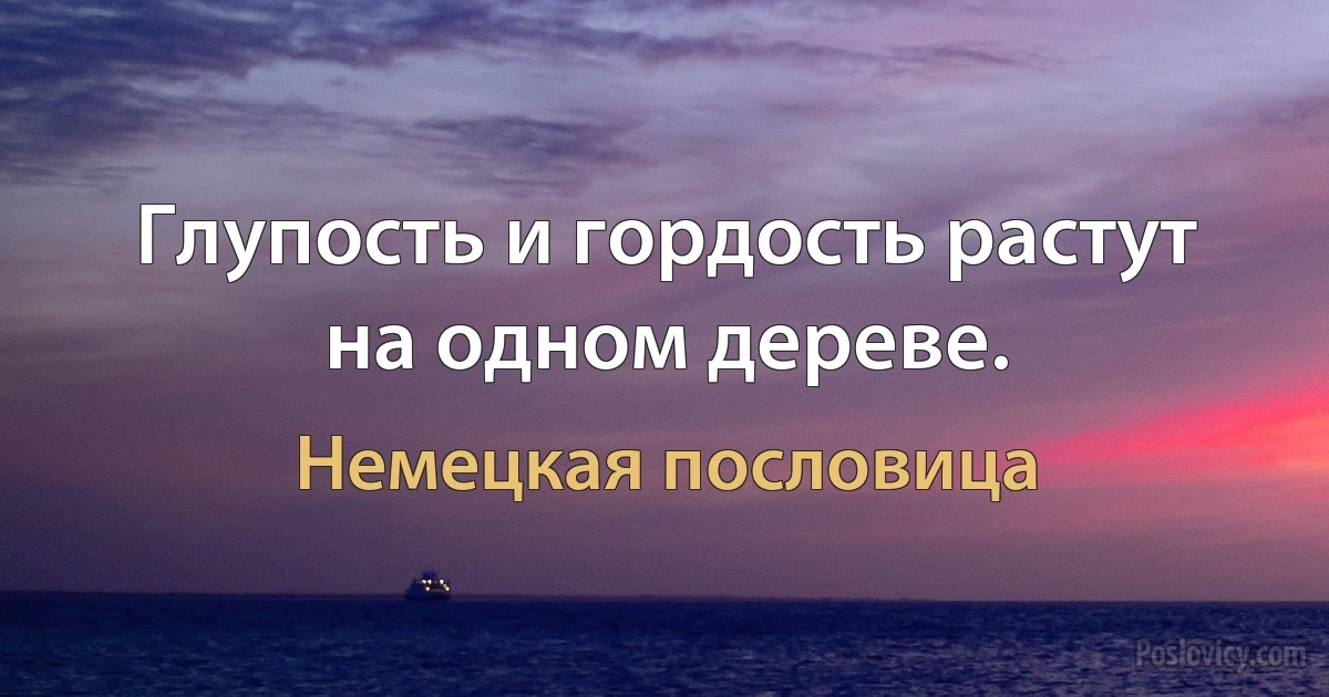 Глупость и гордость растут на одном дереве. (Немецкая пословица)