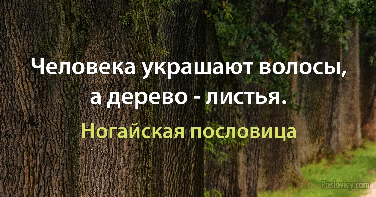 Человека украшают волосы, а дерево - листья. (Ногайская пословица)