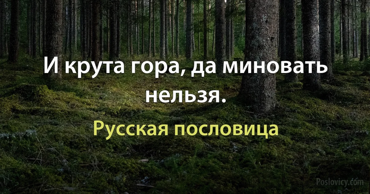 И крута гора, да миновать нельзя. (Русская пословица)