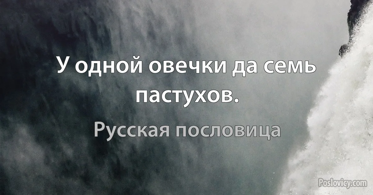 У одной овечки да семь пастухов. (Русская пословица)